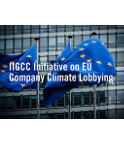 IIGCC Initiative on EU Company Climate Lobbying