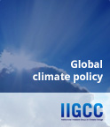 Global climate policy
