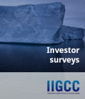 Investor surveys
